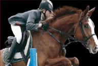 R Lawson, Show Jumper